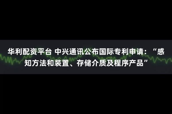 华利配资平台 中兴通讯公布国际专利申请：“感知方法和装置、存储介质及程序产品”