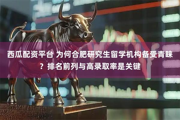 西瓜配资平台 为何合肥研究生留学机构备受青睐？排名前列与高录取率是关键